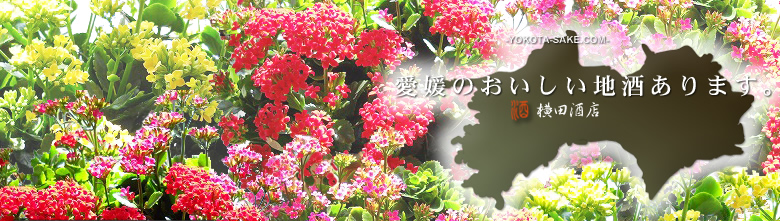 ���Q�̂��������n������܂��B�@���c��X