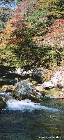 横田酒店